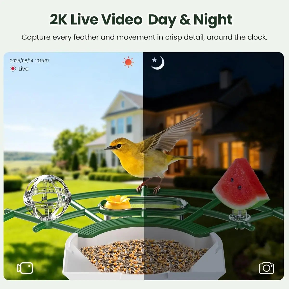 TECKNET Smart Bird Feeder with Camera