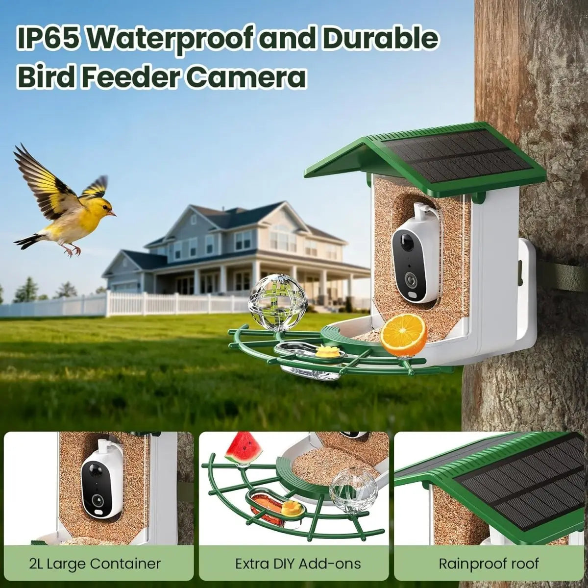 TECKNET Smart Bird Feeder with Camera